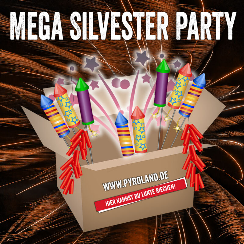 Jetzt Mega Silvester Party ab 399€ bestellen